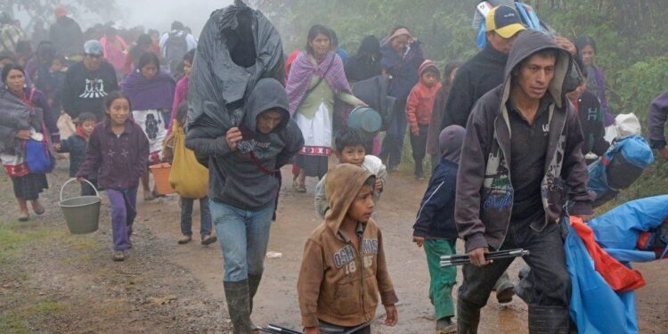 Estos son los municipios con más desplazados por violencia en Tamaulipas hasta 2025