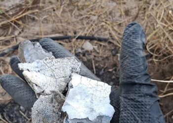 Localizan restos óseos calcinados en Miguel Alemán  