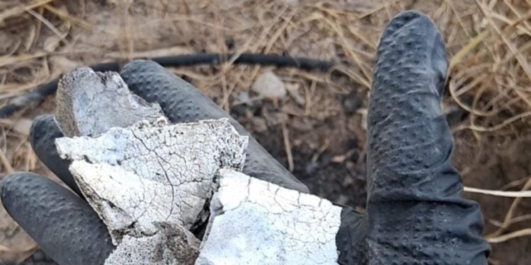 Localizan restos óseos calcinados en Miguel Alemán  