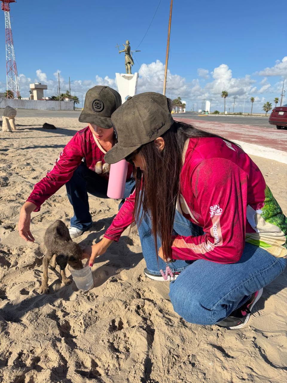 Perros que estaban en los huesos son rescatados en Playa Bagdad
