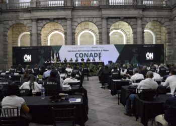 Tamaulipas será sede de 9 disciplinas de la Olimpiada Nacional 2027
