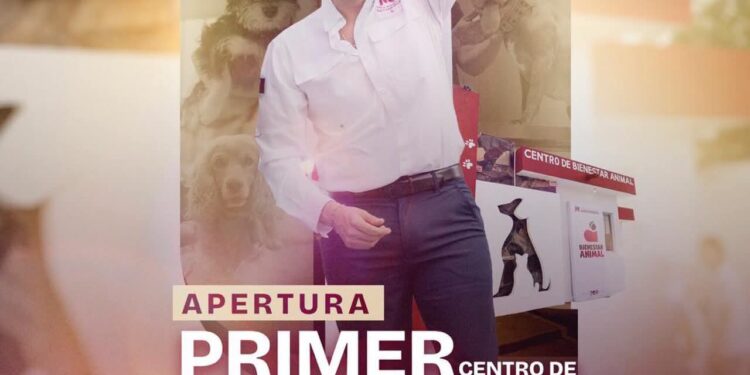 Centro de Bienestar Animal de Matamoros, proyecto de Beto Granados