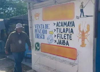 Vendían carne de cocodrilo en negocio en Tampico; Profepa lo clausura