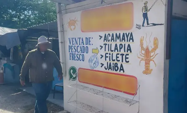 Vendían carne de cocodrilo en negocio en Tampico; Profepa lo clausura