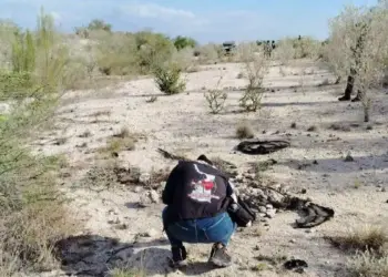 Hallan restos óseos calcinados en Reynosa durante búsqueda de desaparecidos