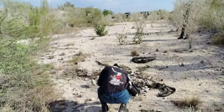 Hallan restos óseos calcinados en Reynosa durante búsqueda de desaparecidos