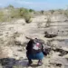 Hallan restos óseos calcinados en Reynosa durante búsqueda de desaparecidos