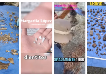 Esto se sabe sobre la fosa clandestina en Michoacán con dientes de bebé
