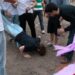 Buscan prohibir novatadas en Tamaulipas y castigarlas con cárcel