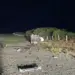 Mueren dos mujeres de Texas en autopista Monterrey-Reynosa al chocar con venado