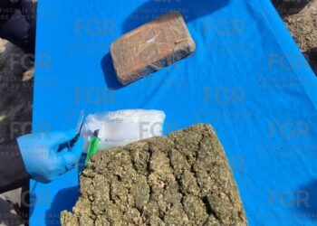 FGR quemó más de media tonelada de drogas en Reynosa