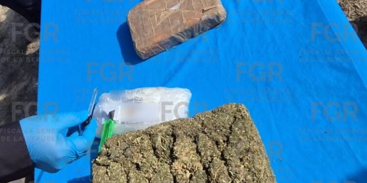 FGR quemó más de media tonelada de drogas en Reynosa
