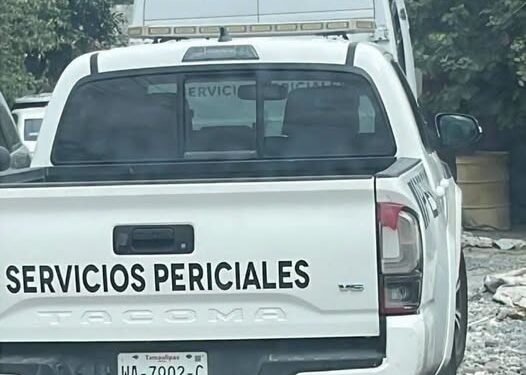Hallan mujer muerta la colonia Pedro J. Méndez en Reynosa