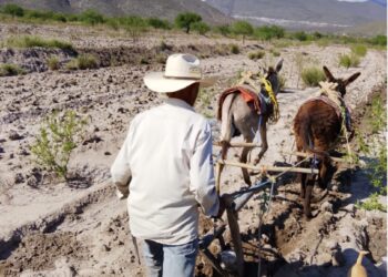 Reconocen talento de estudiantes tamaulipecas en el Concurso Nacional de Fotografía de los Telebachilleratos Comunitarios