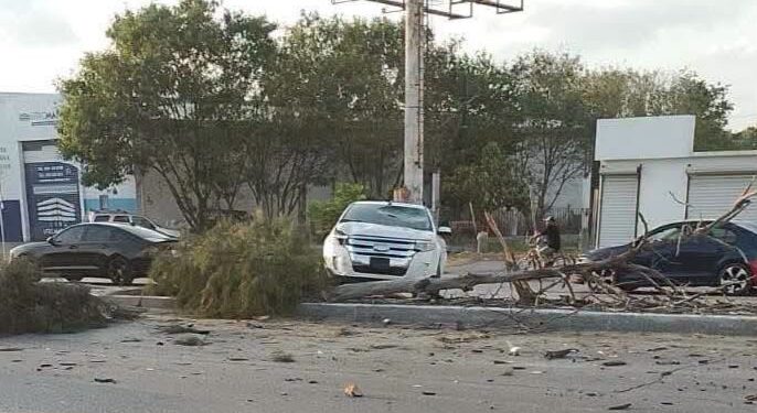 Accidente en Matamoros: Jóvenes chocan y huyen con cerveza