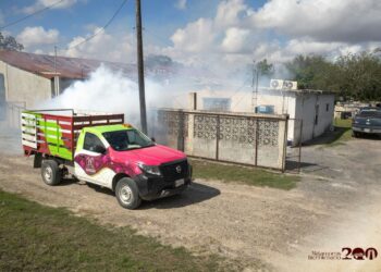 Gobierno de José Alberto Granados Fávila refuerza la fumigación preventiva y continúa con trabajos de bacheo en Matamoros