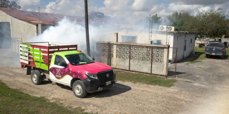 Gobierno de José Alberto Granados Fávila refuerza la fumigación preventiva y continúa con trabajos de bacheo en Matamoros