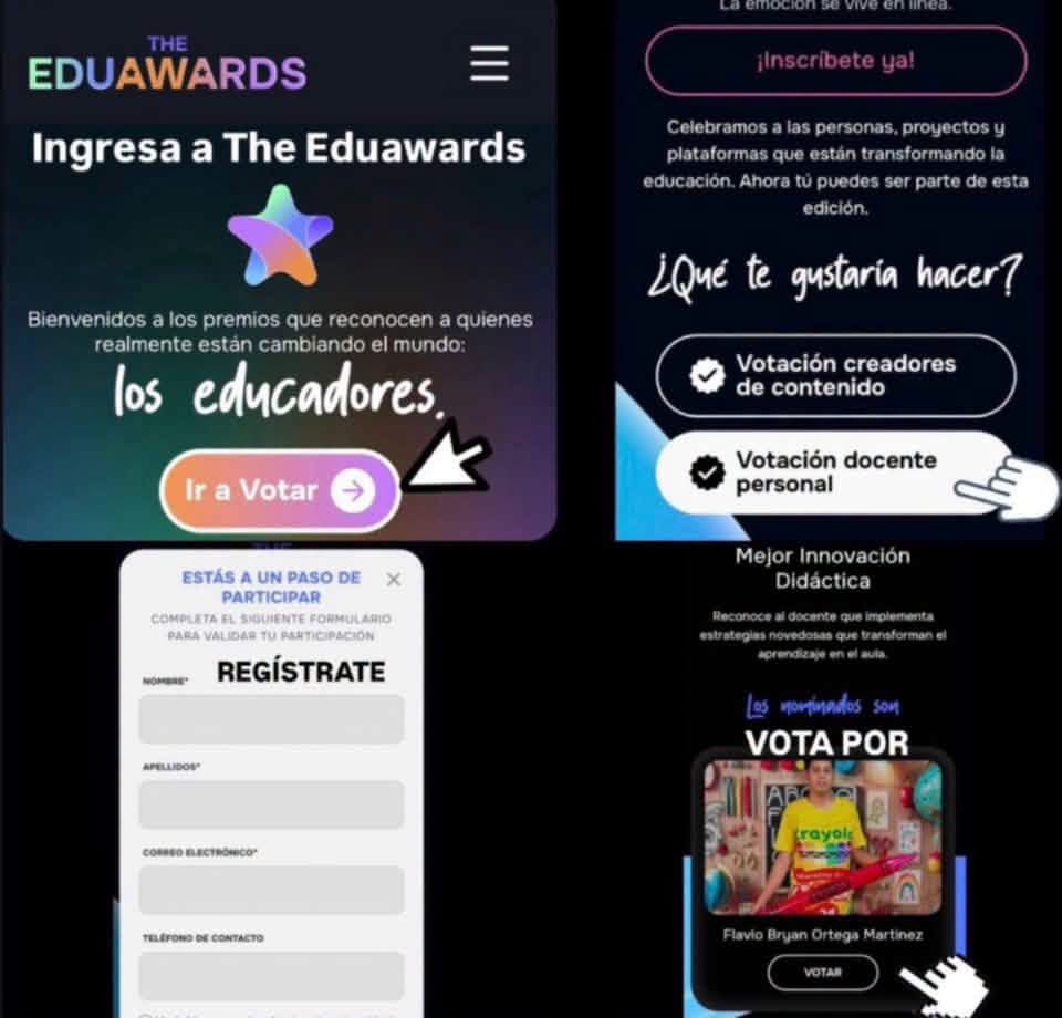 ¿Cómo votar por el maestro Flavio Bryan Ortega?