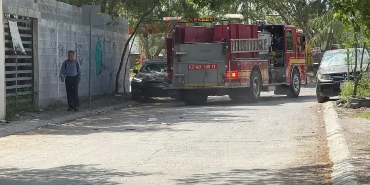 Enjambre en secundaria Gumersindo Guerrero de Reynosa ataca a 80 personas