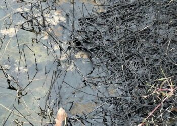 Derrame de hidrocarburos mancha calles y llega a lagunas de Ciudad Madero 