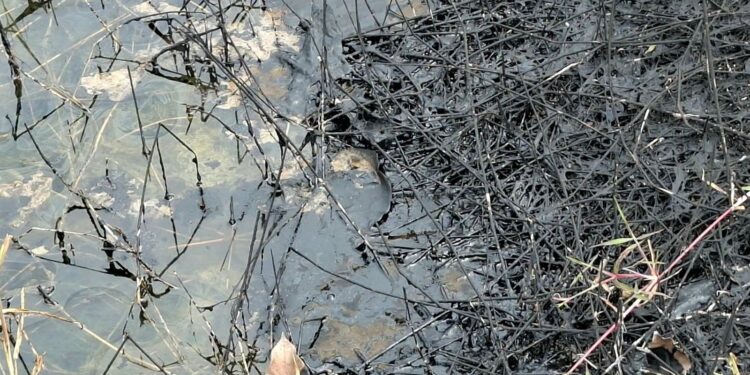 Derrame de hidrocarburos mancha calles y llega a lagunas de Ciudad Madero 