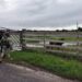 León abandonado en ejido Bartolina estuvo domesticado y padece desnutrición