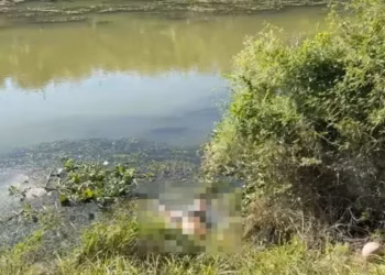 Hallan otro cuerpo en el río Bravo; suman dos casos en una semana 