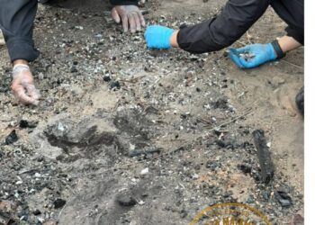 Hallan restos óseos calcinados durante búsqueda en Matamoros