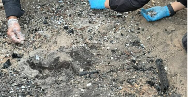 Hallan restos óseos calcinados durante búsqueda en Matamoros